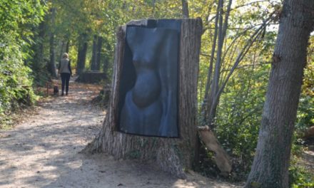 Waldshut-Tiengen: Kunst im öffentlichen Raum - Archiviert