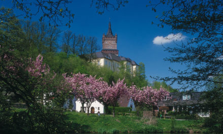 Die Schwanenburg in Kleve - Archiviert