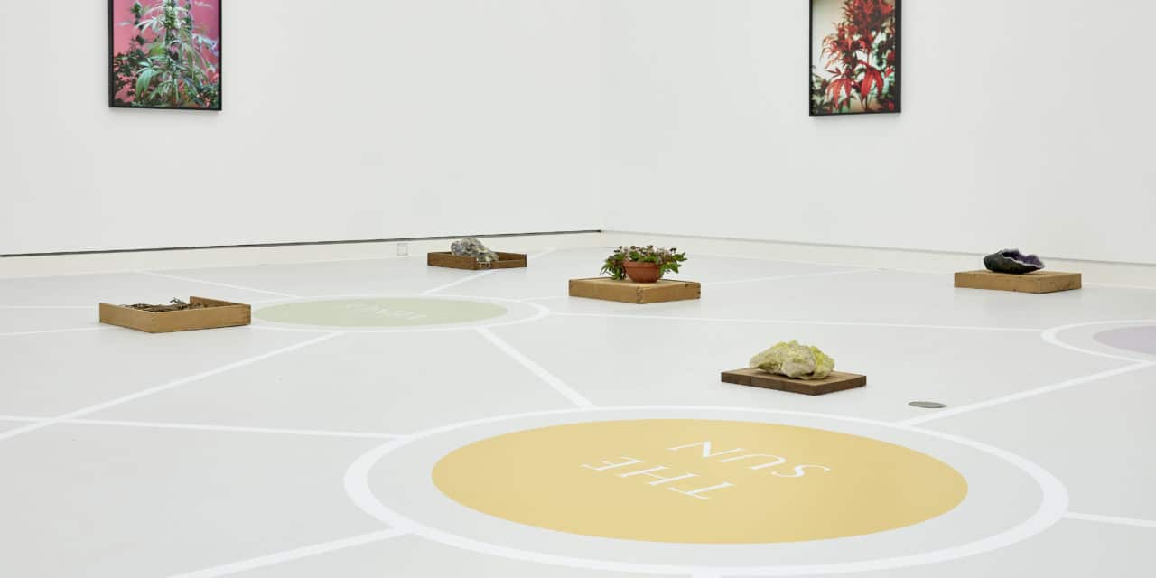 Die Kunsthalle Mainz: Sonderausstellung „Joachim Koester – The way out is the way in”