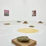 Die Kunsthalle Mainz: Sonderausstellung „Joachim Koester – The way out is the way in”