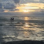 UNESCO Weltnaturerbe Wattenmeer – Cuxhaven mittendrin!