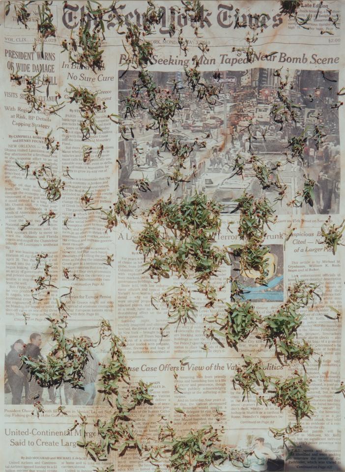 ICONE VEGETALI. Kunst und Botanik im 21. Jahrhundert © Museo Villa dei Cedri