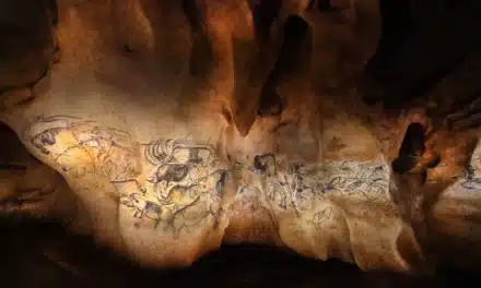 GROTTE CHAUVET 2 ARDÈCHE: ANIMAL - FROM PREHISTORY TO STREET ART