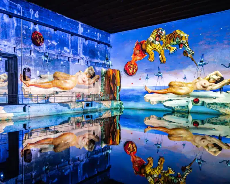 Bassins des Lumières à Bordeaux : Dalí et Gaudí