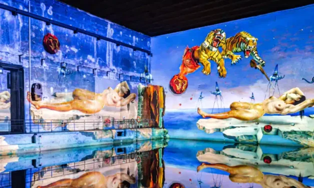 Bassins des Lumières in Bordeaux: Dalí und Gaudí