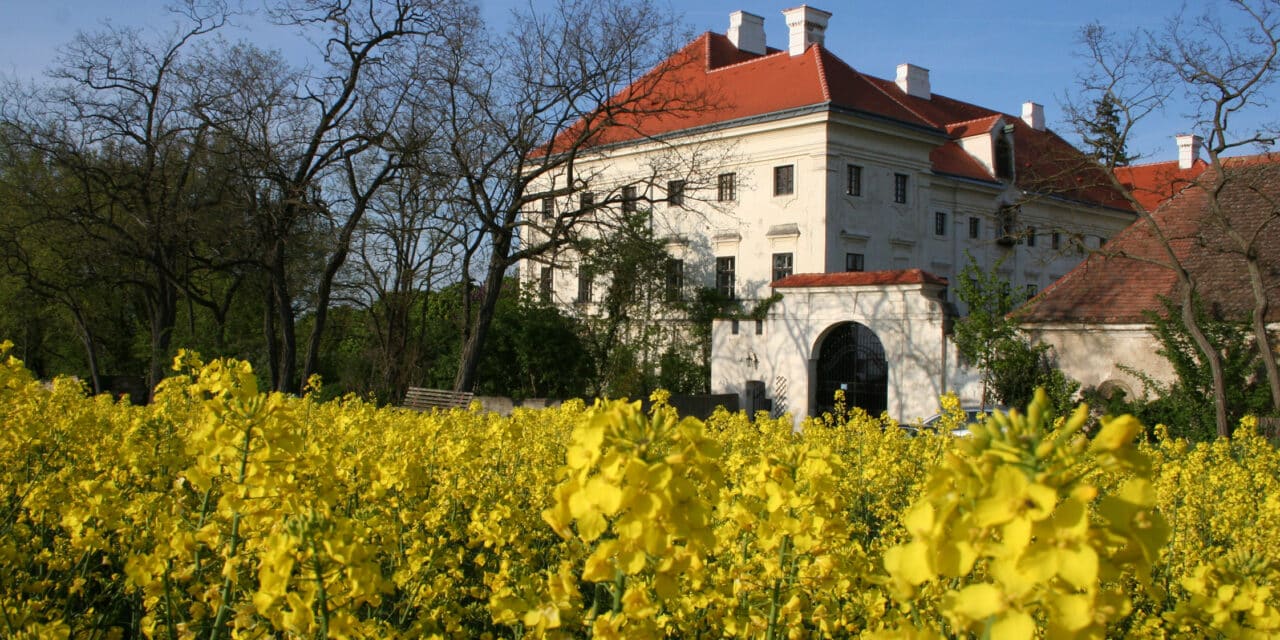 Nitsch Museum Mistelbach: Zu Besuch bei Nitsch im Schloss Prinzendorf
