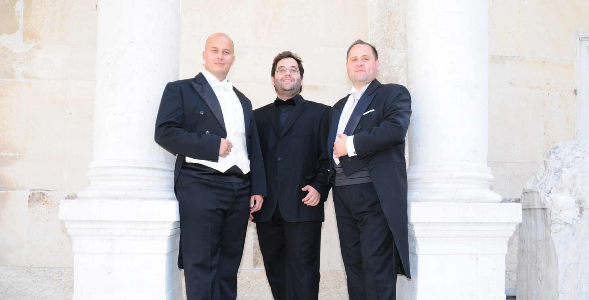  Foto zu Schelfkirche St. Nikolai in Schwerin: Die himmlische Nacht der Tenöre 