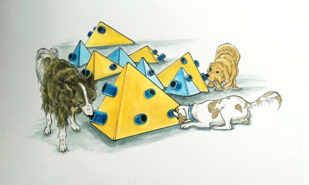 Kunsthalle Darmstadt: Animalia. Streifzüge von Los Angeles bis Mumbai