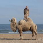 Weltmuseum Wien: On the back of the camels