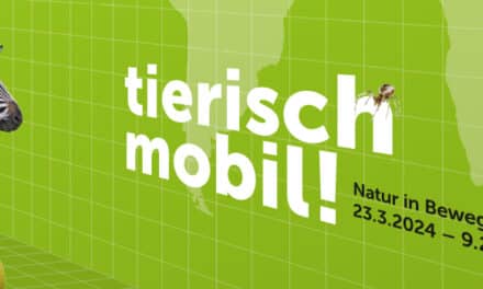 Museum Niederösterreich | Haus der Natur: Tierisch mobil! Natur in Bewegung