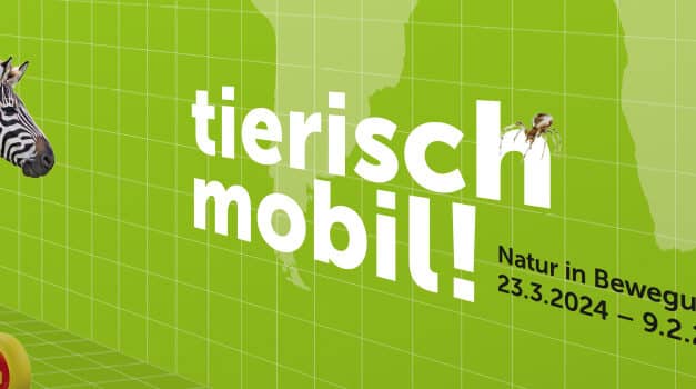 Museum Niederösterreich | Haus der Natur: Beastly mobile! Nature in motion
