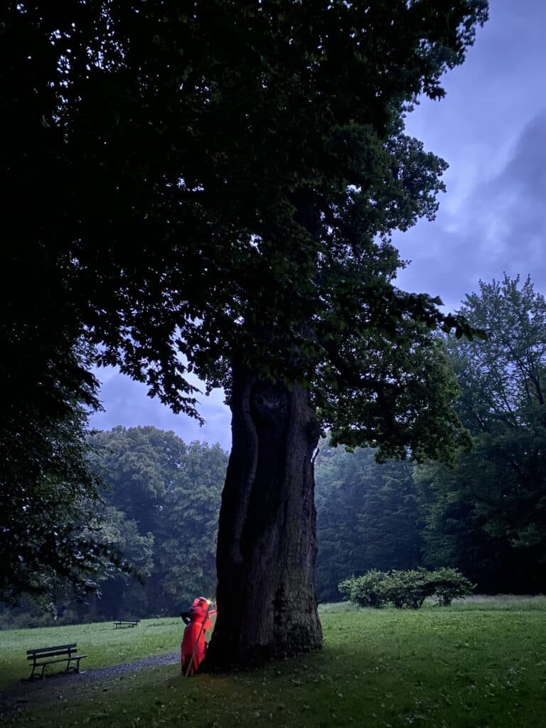 The St. Joseph's oak in Wiśniowa (Poland), photo: Natalia Romik, 2021