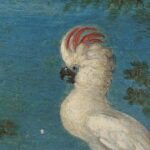The Mauritshuis: Roelant Savery's Wonderful World