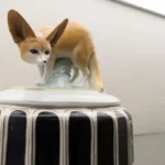 GRASSI Museum für angewandte Kunst Leipzig: Bitte nicht füttern! - Tiere auf Art Déco Porzellan