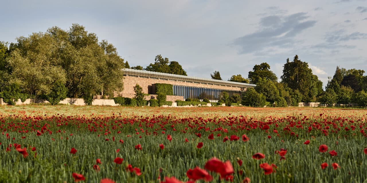 Fondation Beyeler in Riehen bei Basel: Ausstellungs-Highlights 2025/2026