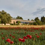Fondation Beyeler in Riehen bei Basel: Ausstellungs-Highlights 2025/2026