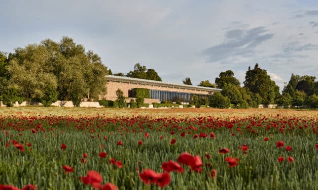 Fondation Beyeler in Riehen bei Basel: Ausstellungs-Highlights 2025/2026