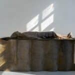 Ernst Barlach Haus, Hamburg: „Berlinde De Bruyckere. Lift Not the Painted Veil”