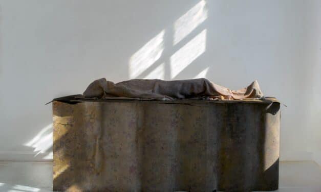 Ernst Barlach Haus, Hamburg: „Berlinde De Bruyckere. Lift Not the Painted Veil”