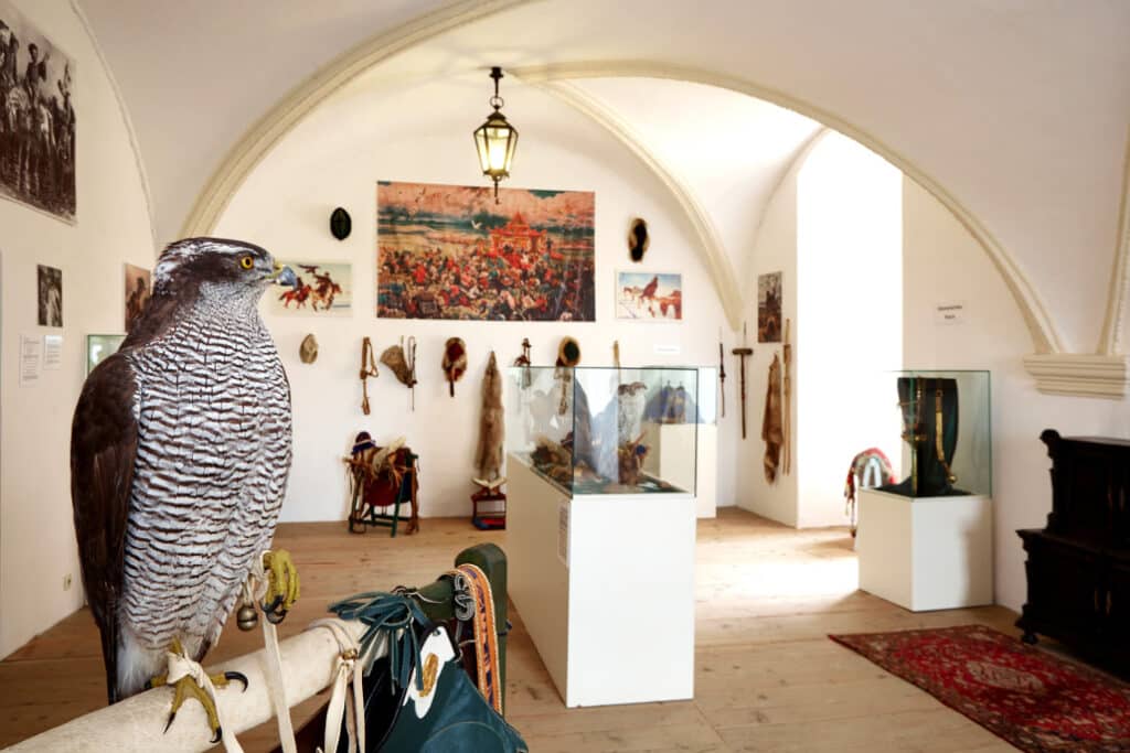 Das Falknereimuseum © RfW, Lichtstark