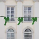 Fridericianum in Kassel: COSIMA VON BONIN. 7000 PALMEN