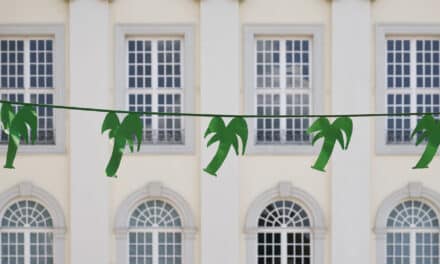 Fridericianum in Kassel: COSIMA VON BONIN. 7000 PALMEN