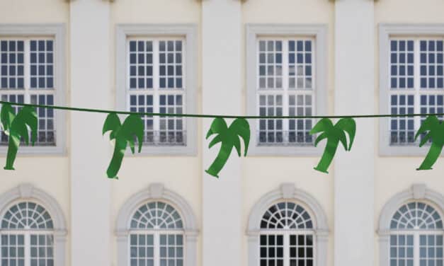 Fridericianum in Kassel: COSIMA VON BONIN. 7000 PALMEN