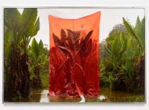 Julius von Bismarck "We Were All Naked Eleph" © KunstHausWien
