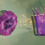 Kunst Meran im Haus der Sparkasse: Earthly Communities