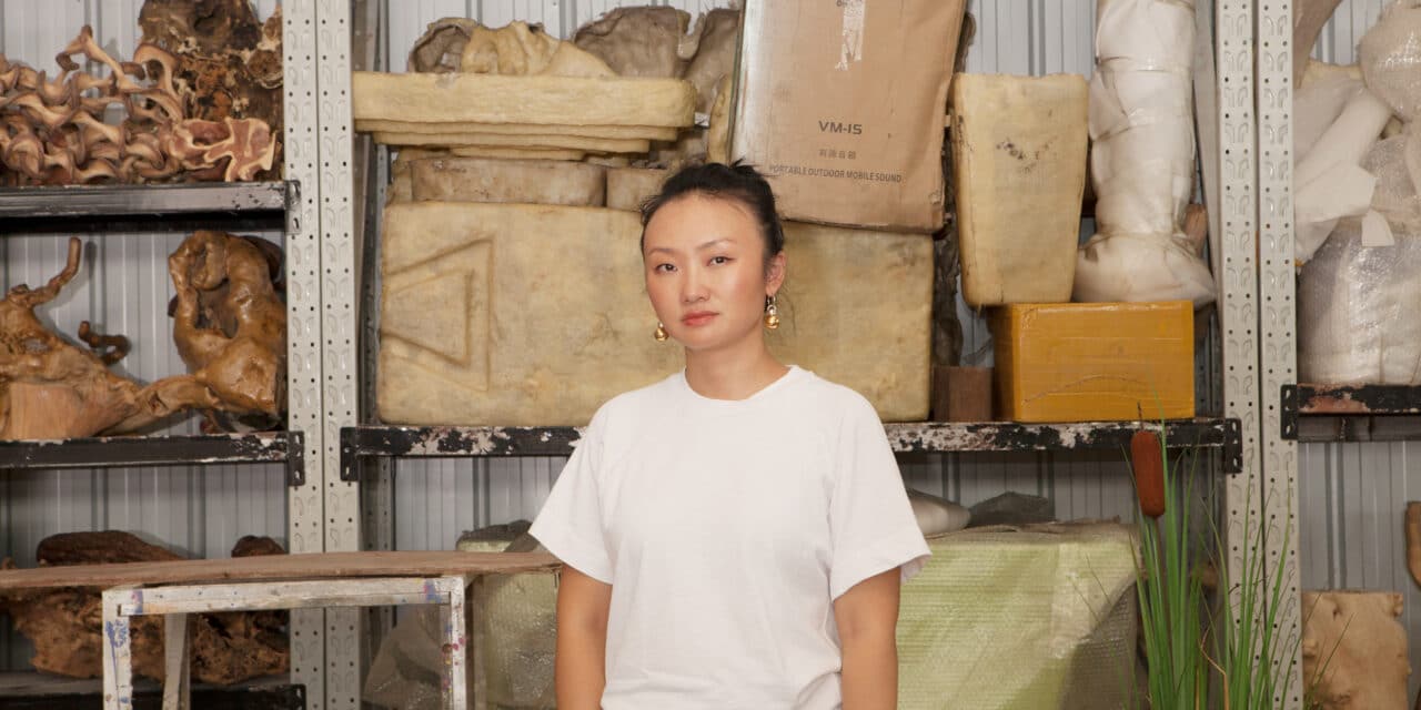 Kunsthalle Wien: Guan Xiao