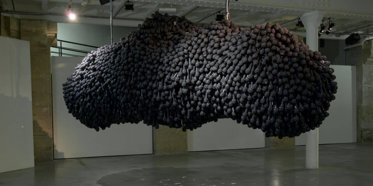 Kunsthalle St. Annen Lübeck: Shilpa Gupta. Preisträgerin des Possehl-Preises für Internationale Kunst