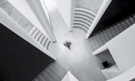 Das MMK Museum Moderner Kunst Frankfurt: