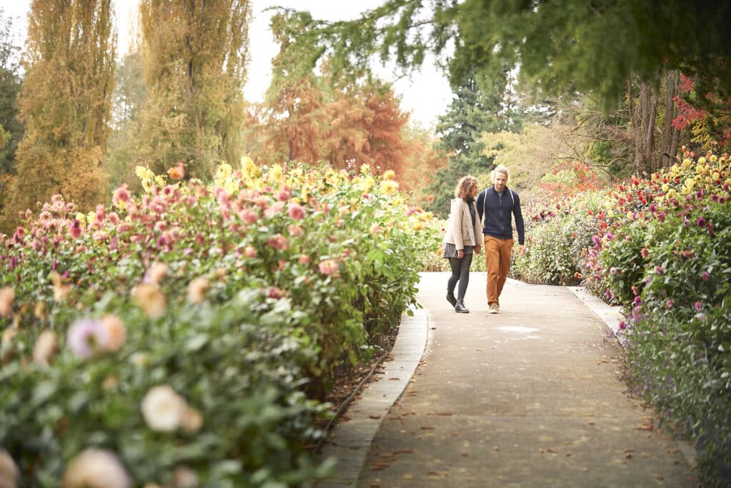 Mainau Island © MTK/Hari Pulko