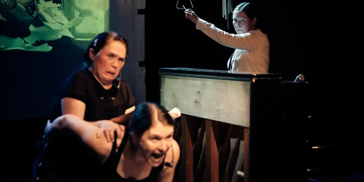 Theater im Viertel Studiotheater in Saarbrücken: Ella und ein Weihnachtstraum