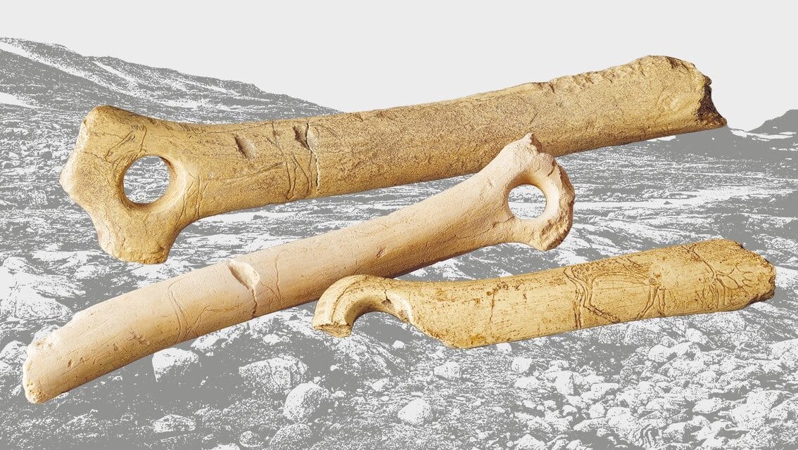 Das Museum zu Allerheiligen Schaffhausen: Eiszeit. Leben vor 17 000 Jahren