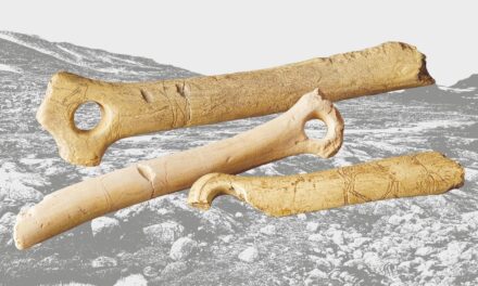 Das Museum zu Allerheiligen Schaffhausen: Eiszeit. Leben vor 17 000 Jahren