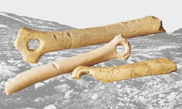 Das Museum zu Allerheiligen Schaffhausen: Eiszeit. Leben vor 17 000 Jahren