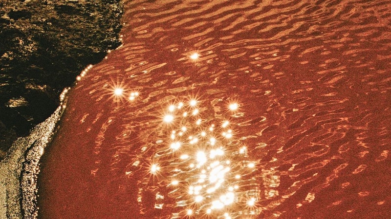 Nicole Weniger, Tutto Passa, 2024, Fine Art Print © Bildrecht, Wien 2025