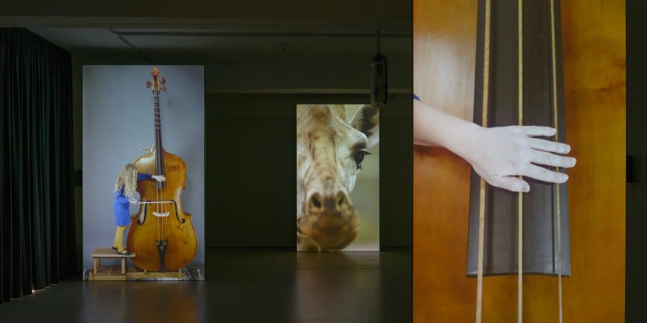 Kunstmuseum Magdeburg: Annika Kahrs – Infra Voice