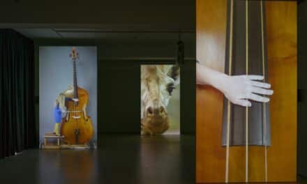 Kunstmuseum Magdeburg: Annika Kahrs – Infra Voice