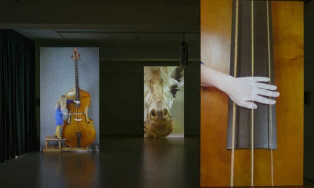 Kunstmuseum Magdeburg: Annika Kahrs - Infra Voice