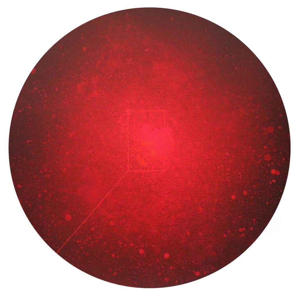 Ha Haengeun, Inner Cosmos, 2025 © Galerie schäfer+schlehwein, 2025