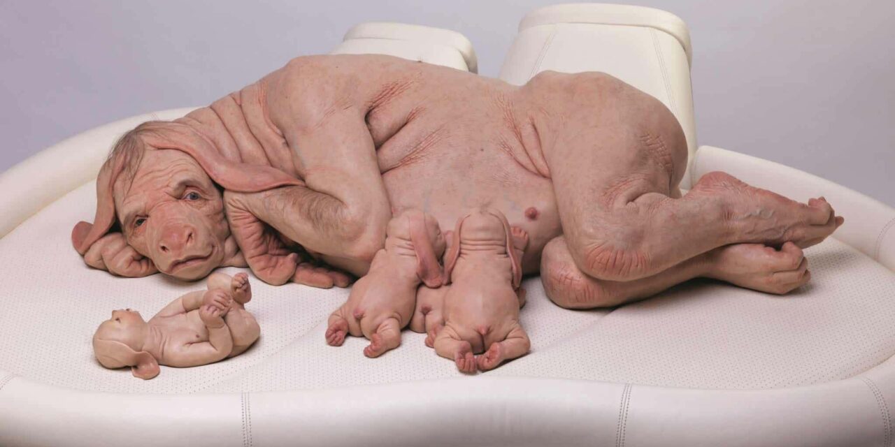 Landshuter Museen | KOENIGmuseum: Patricia Piccinini. Willkommener Gast