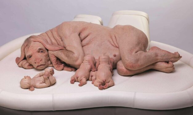 Landshuter Museen | KOENIGmuseum: Patricia Piccinini. Willkommener Gast