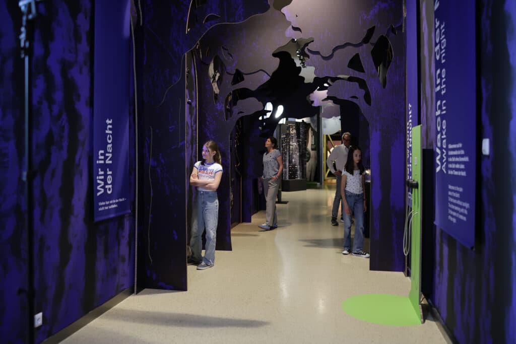 Special exhibition "Animals of the Night" © NÖ Museum Betriebs GmbH, Daniel Hinterramskogler