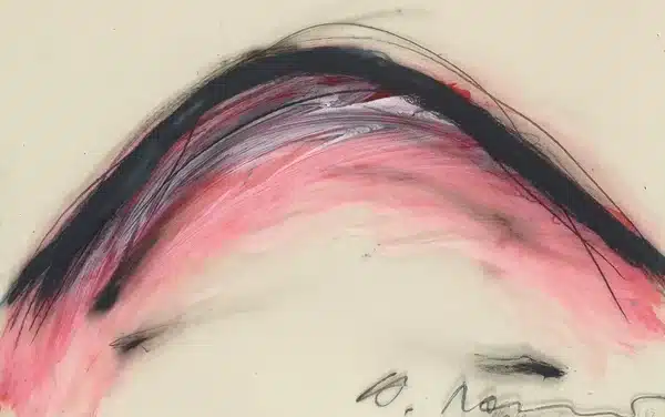 Arnulf Rainer Museum Baden bei Wien: Radikale Nähe: Arnulf Rainer und Art Brut