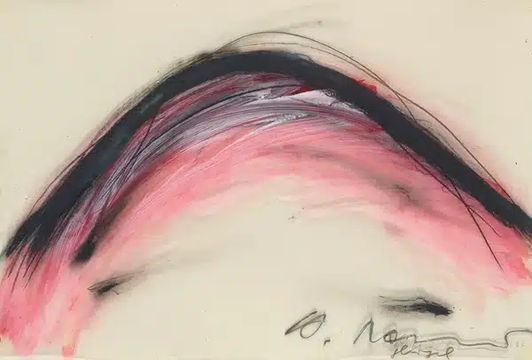 Arnulf Rainer Museum Baden bei Wien: Radikale Nähe: Arnulf Rainer und Art Brut