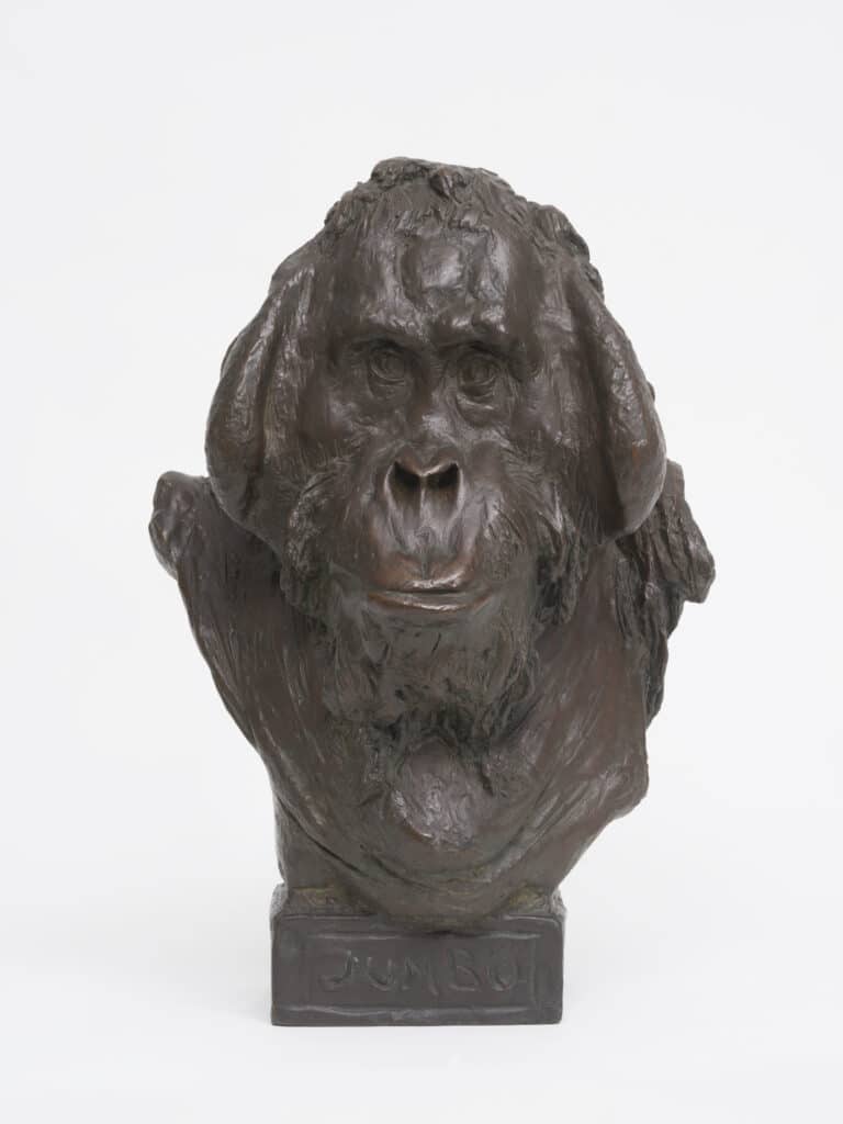 August Gaul (1869-1921), Orangutan head 'Jumbo', 1895, bronze, 53.7 x 35.5 x 31 cm, Museum der bildenden Künste Leipzig