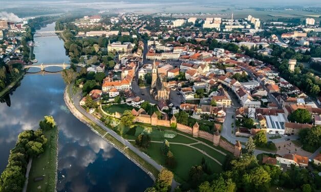 Museum Neuruppin: BETWEEN ARTS AND NATURE