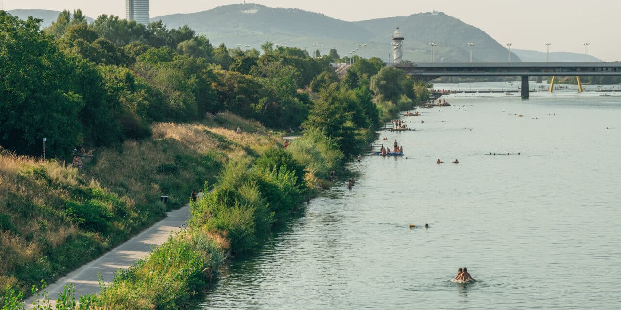 Wien Museum: Die Donauinsel